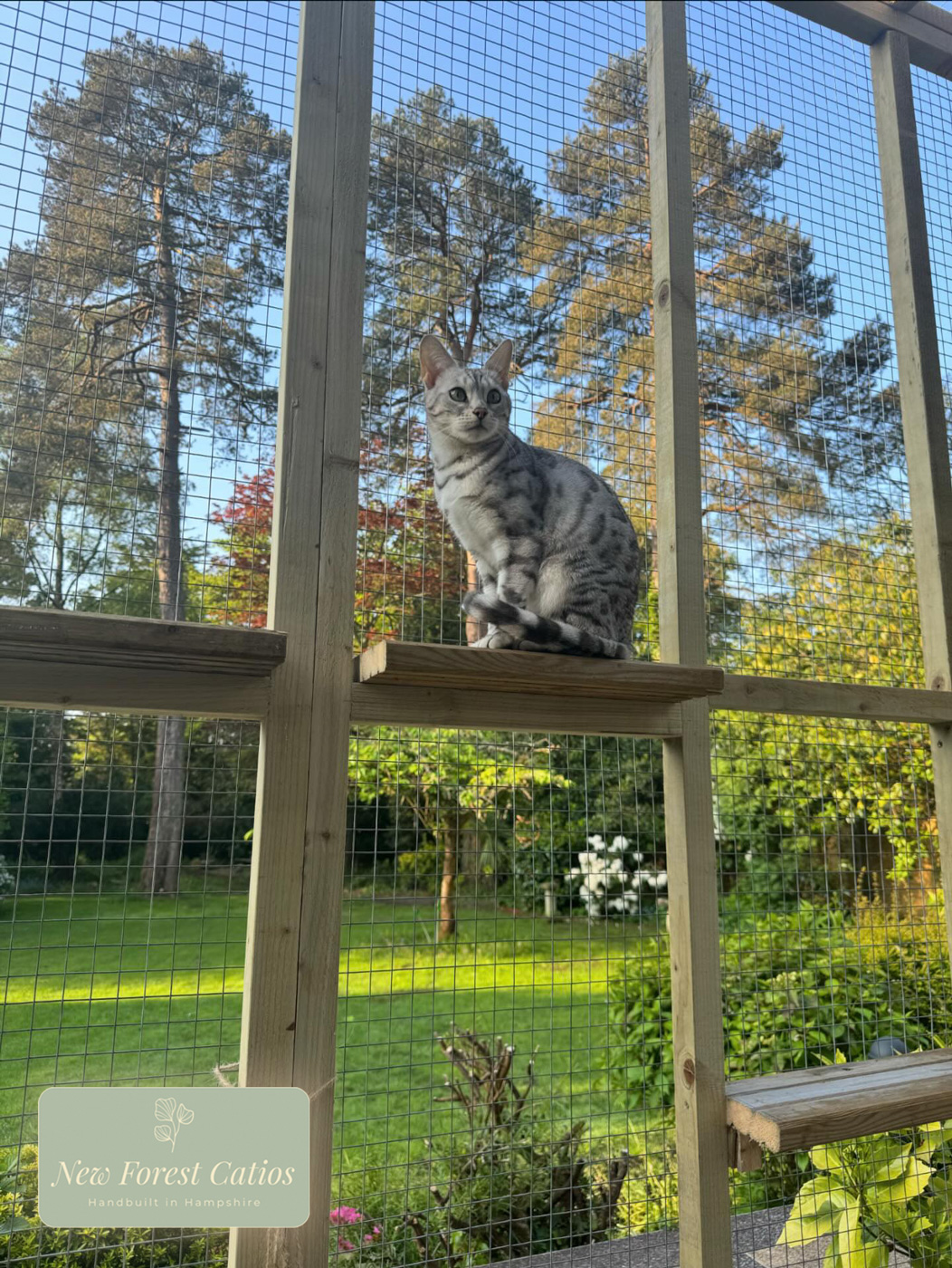 Bespoke Catio in Romsey, Hampshire.