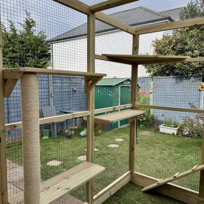 New Forest Catios - Bespoke Catio Inside Scratch Post