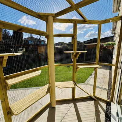 New Forest Catios - Bespoke Custom Catio Muscliffe Angled 2