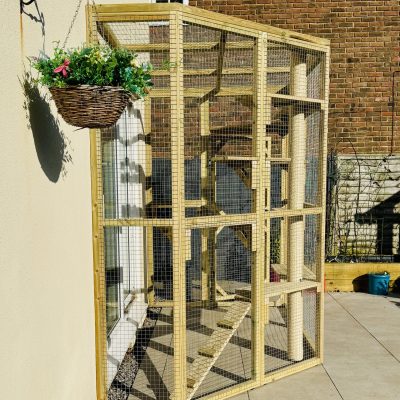 New Forest Catios - Bespoke Custom Catio Muscliffe Angled 3