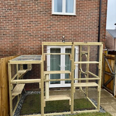 New Forest Catios - Bespoke Custom Catio Salisbury