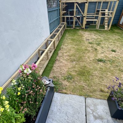 New Forest Catios - Bespoke Custom Catio with tunnel Christchurch