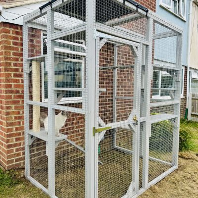 New Forest Catios - Bespoke Custom Painted Catio Fareham