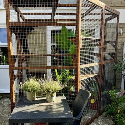 New Forest Catios - Bespoke Custom Painted Catio Hampshire