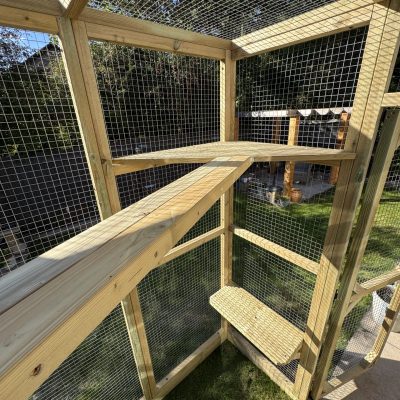 New Forest Catios - Custom Catios - Catio built onto a conservatory- Interior bridge
