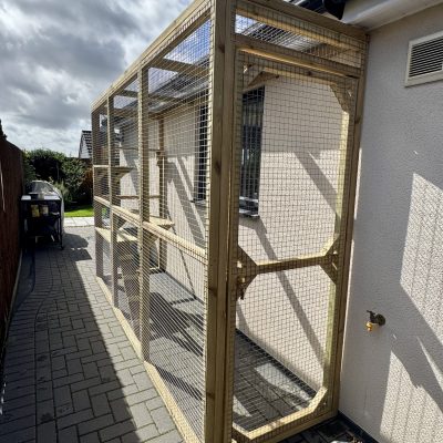 New Forest Catios - Custom Catios - Catio built onto a side of building