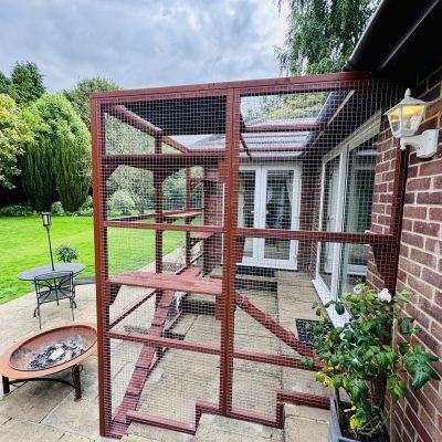 New Forest Catios - Stepped Bespoke Custom Painted Catio Winchester 2